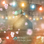 کرم توصیف ناپذیر امام مجتبی علیه السلام