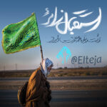 استقبال زائر